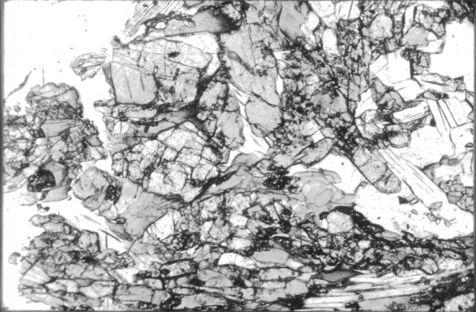 eclogite à glaucophane en lame mince