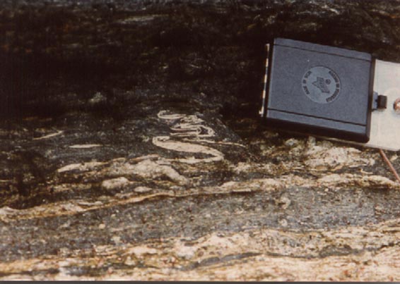 Isoclinal folds in epidote-banded glaucophane schist